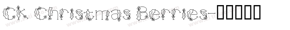 CK Christmas Berries字体转换
